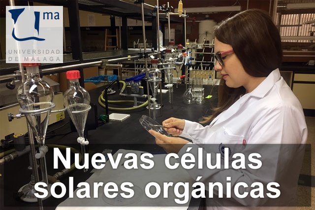 celulassolares.jpg